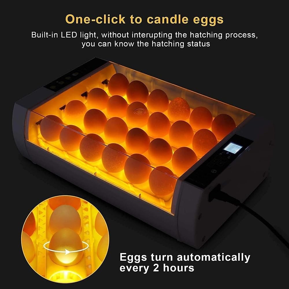 Incubator Egg Automatic Incubator Brooding Machine Chicken Incubator Home Incubator Controller Farm Egg Incubator 24 Eggs Incubator