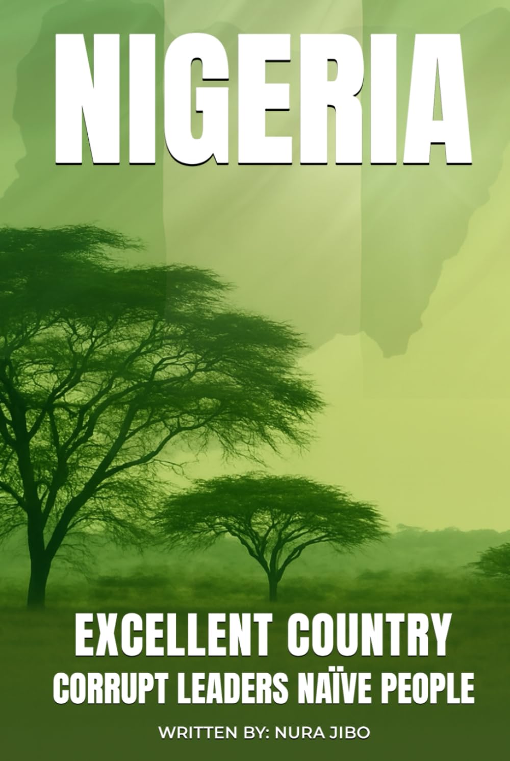 Nigeria Excellent Country: Corrupt Leaders Naïve People