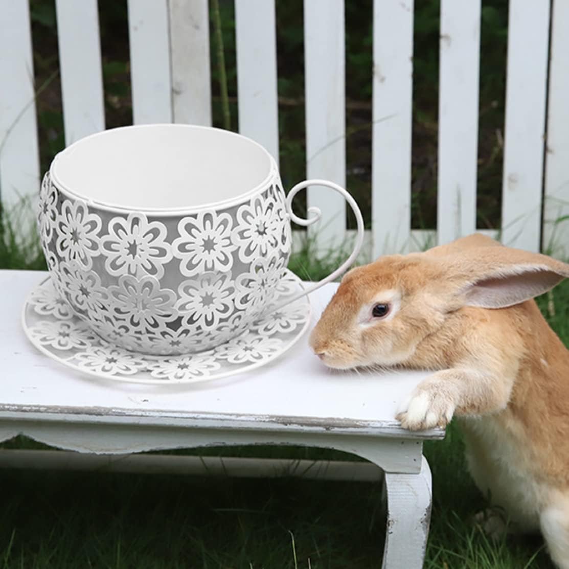 Planter - Vintage Teacup Flower Pot with Saucer, White Coffee Cup Garden Holder