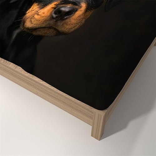 Miniatura 3 de Sábana bajera ajustable de tela suave con estampado 3D con bolsillo profundo, juego de ropa de cama Rottweiler tamaño matrimonial con 2 fundas de