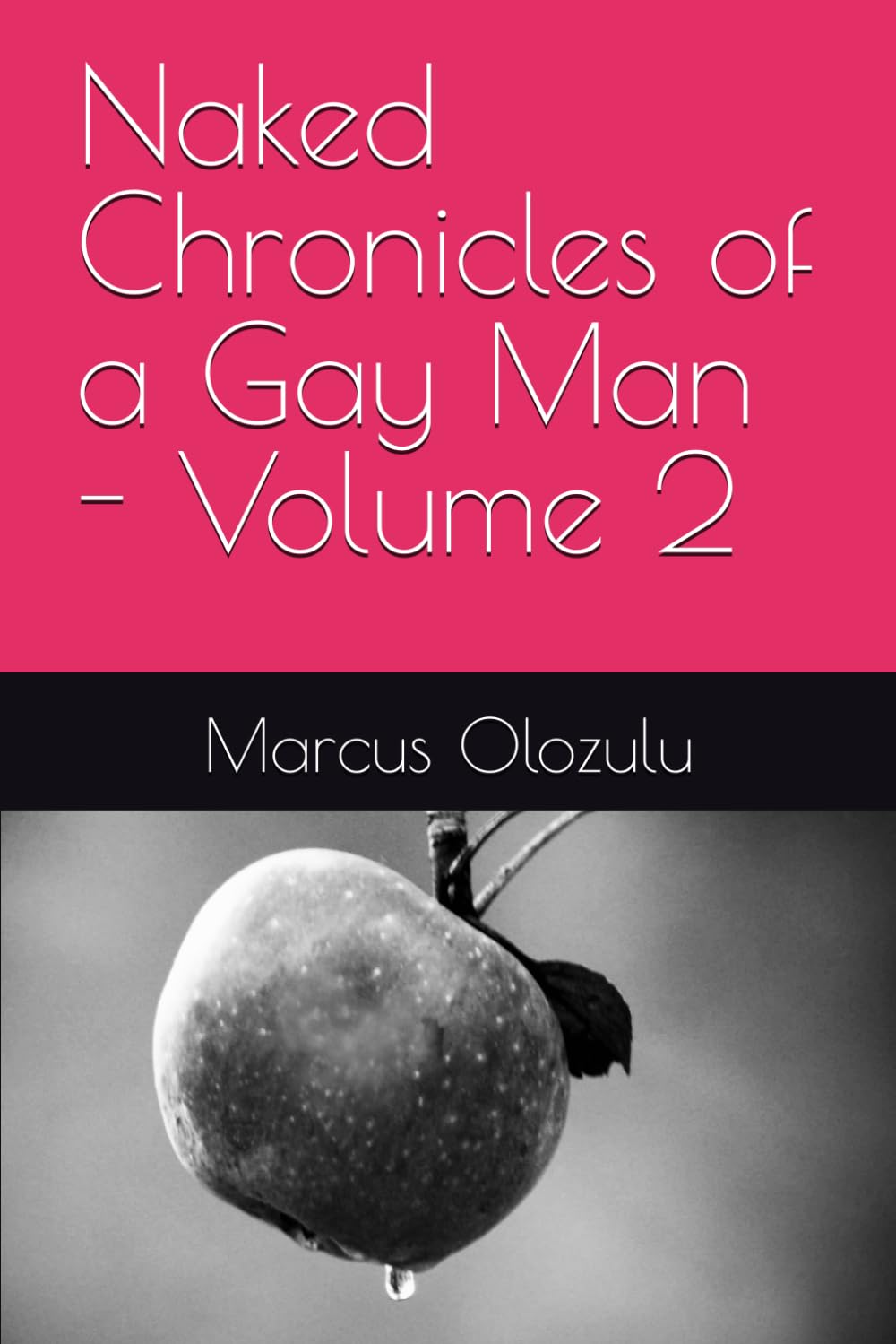 Naked Chronicles of a Gay Man - Volume 2