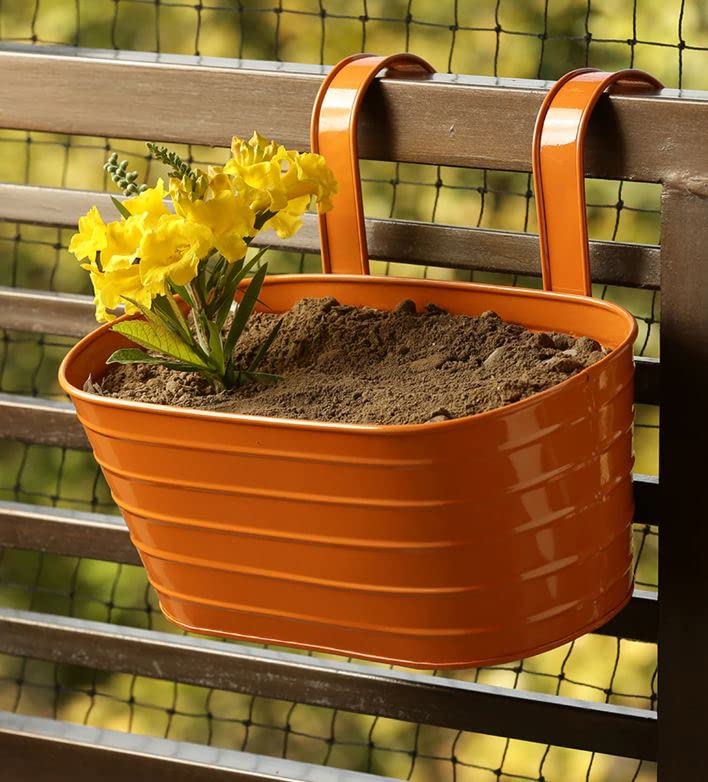Ezzu Crafts Galvanized Iron Handpainted Railing Planter, Detachable Flower Pots, Oval Planters for Balcony, Table-Top Planter Railing Planter (B0B51DDVPD) Amazon Price History, Amazon Price Tracker