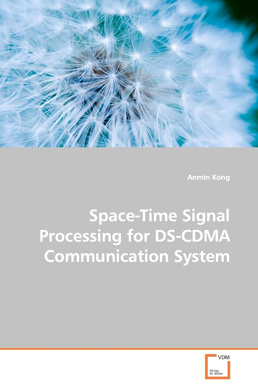 Space-Time Signal Processing for DS-CDMA Communication System