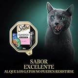 Ver la foto 2