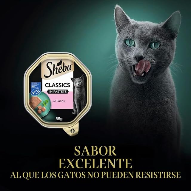 Foto 2 de 8 de Sheba Classics Comida húmeda para gatos, 22 cuencos (2 x 11 x 85 g)
