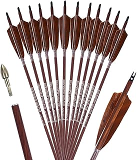 Archery 31-Inch Carbon Hunting Arrows, 4-Inch Turkey Feather Fletching with Replaceable Points, Targeting Practice Arrows Spine 500 for Recurve & Traditional Bows