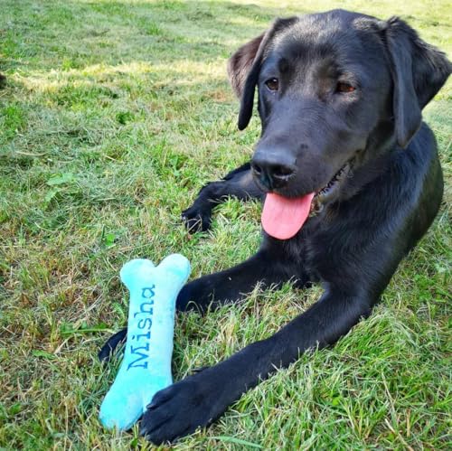 Generisch Personalisiertes Hundespielzeug Knochen mit Name – Welpengeschenk aus weichem Minky Plüsch – Hundeknochen mit Stickerei – Geschenk für Neue Hunde – Handmade