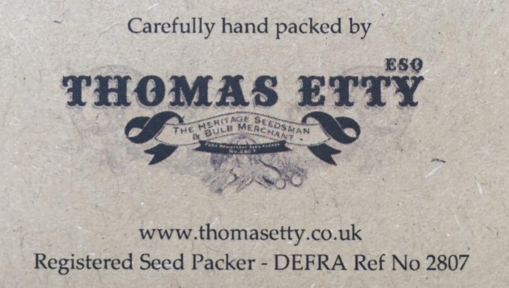 Nutley's Thomas Etty Unusual and Heritage Vegetable Seeds Ramson Wild Garlic