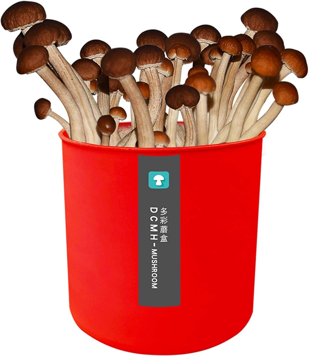 キノコキット栽培キットガーデナーキット オイスターマッシュルーム菌糸プラグスポーン 贈呈 レディグローイングオイスターマッシュルーム栽培キット マイクロオーガニックマッシュルーム栽培キット屋内