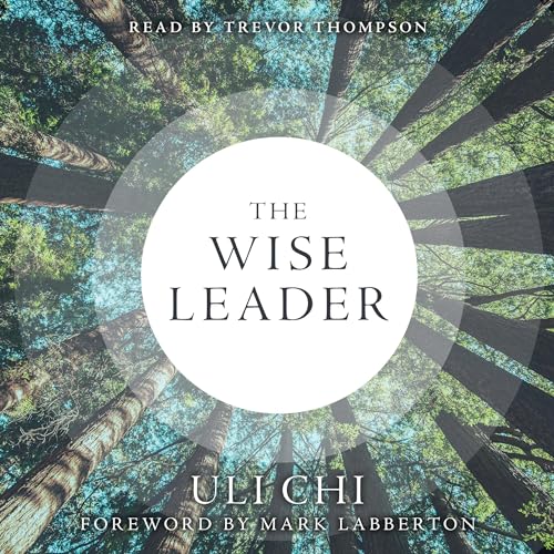 The Wise Leader by Uli Chi episode artwork