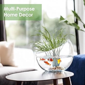 Amazon.com: Craft And Party, Slant Cut Bowl Glass, Glass Fish Bowl