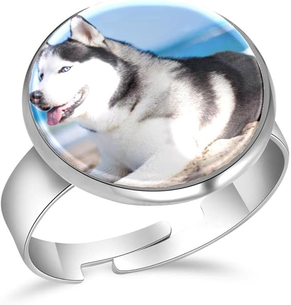 Amazon Co Jp 女性のための指輪 かわいいエスキモー犬 ステンレス鋼リング水晶ガラスリング Jewelry