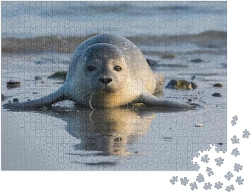 Miniatura 2 de Sello común conocido también como sello del puerto, sello de pelo o mancha... rompecabezas rompecabezas con 1000 piezas