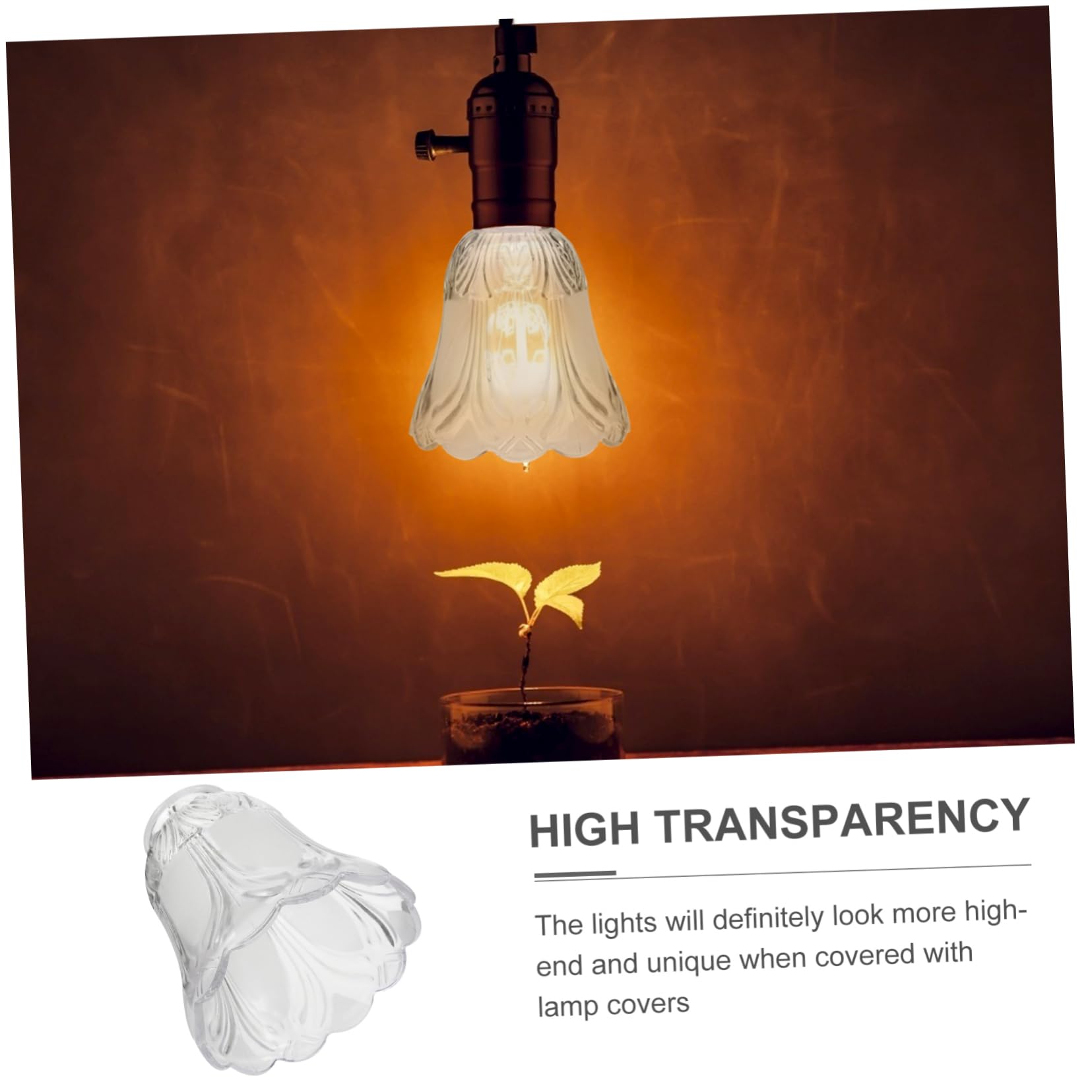 Coperchi Lampada in Vetro Trasparente, Decorativi, 2 Pezzi