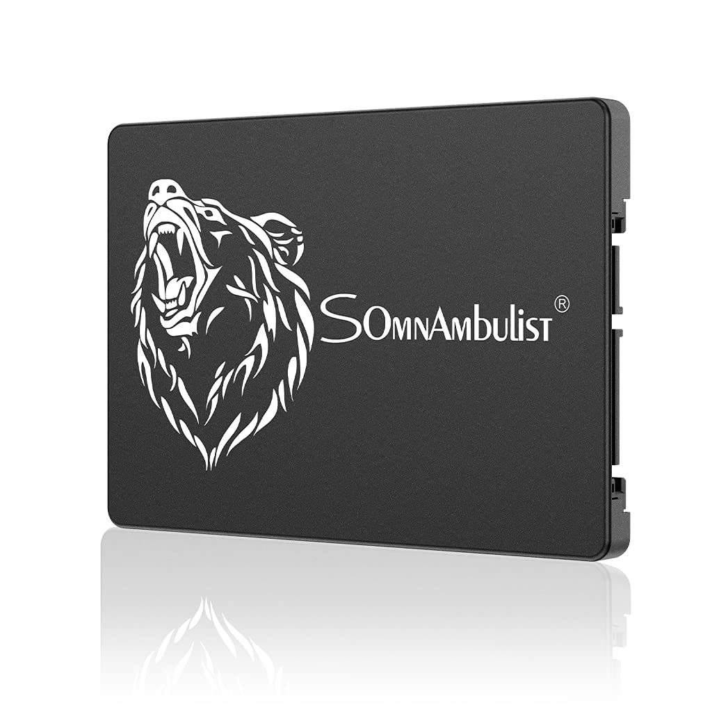 Amazon.com: Somnambulist 2.5 inch SATA 3 60GB 960GB 2TB SATA3 SSD