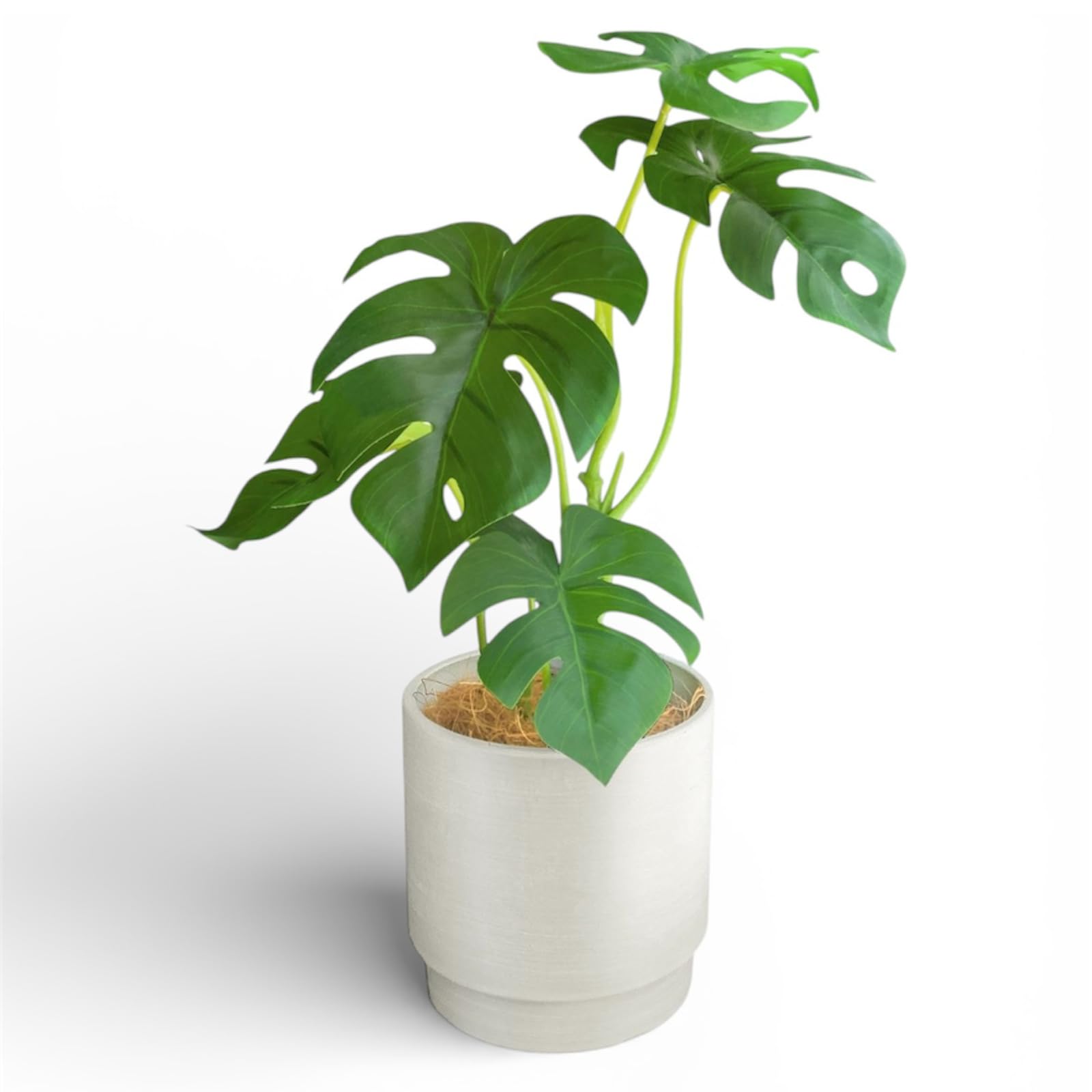 Amazon｜Rilmy（リルミー） フェイクグリーン 卓上 観葉植物