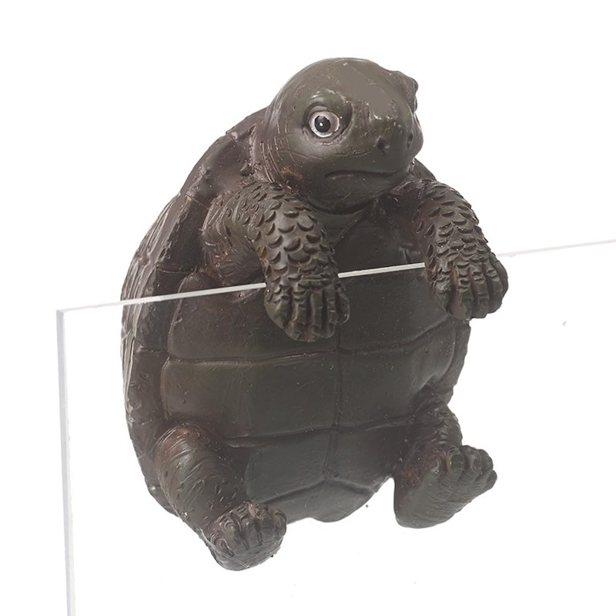 Heaven Sends Tortoise Plant Pot Hanger