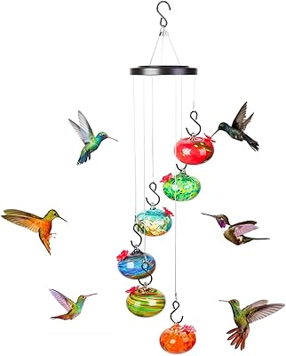 Amazon.com : Hummingbird Feeder for Outdoor with Hummingbird Bath, 13