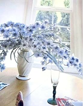 絞り染め、秘めたる花 絞り染め、秘めたる花 アート・デザイン・音楽