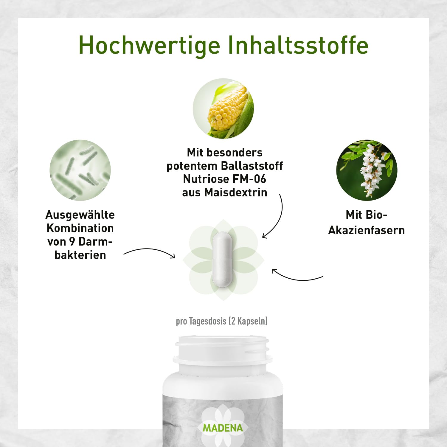 MADENA HistaEx Synbio – Milchsäurebakterien und Bifidobaktieren bei Histaminintoleranz und Fruktoseintoleranz – 60 Kapseln + 2 lösliche Ballaststoffe, Tagesdosierung von 20 Mrd. Keimen