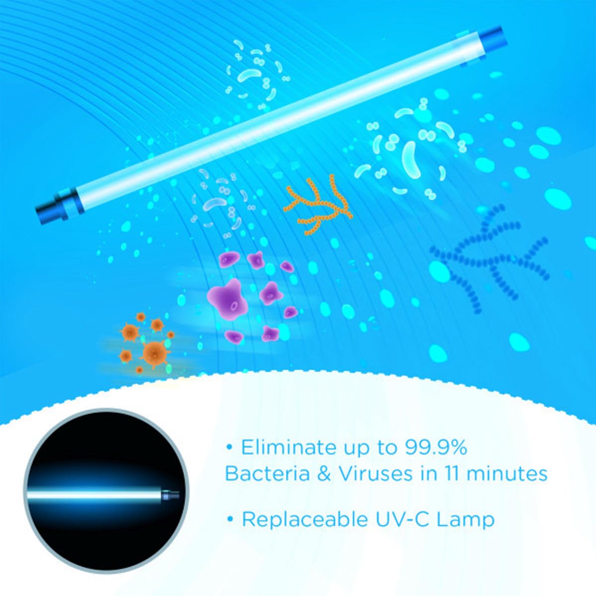 EVLA'S UV-Licht-Sterilisatorbox, Desinfektionsmittel, Trockner, Aufbewahrungsbox, große Kapazität für Babyflaschen, Schnuller, kleines Spielzeug, hilft Viren und Keime zu entfernen, für ein gesundes