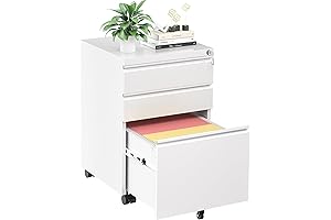 INTERGREAT 3 Drawer Mobile File Cabinet in Crisp White