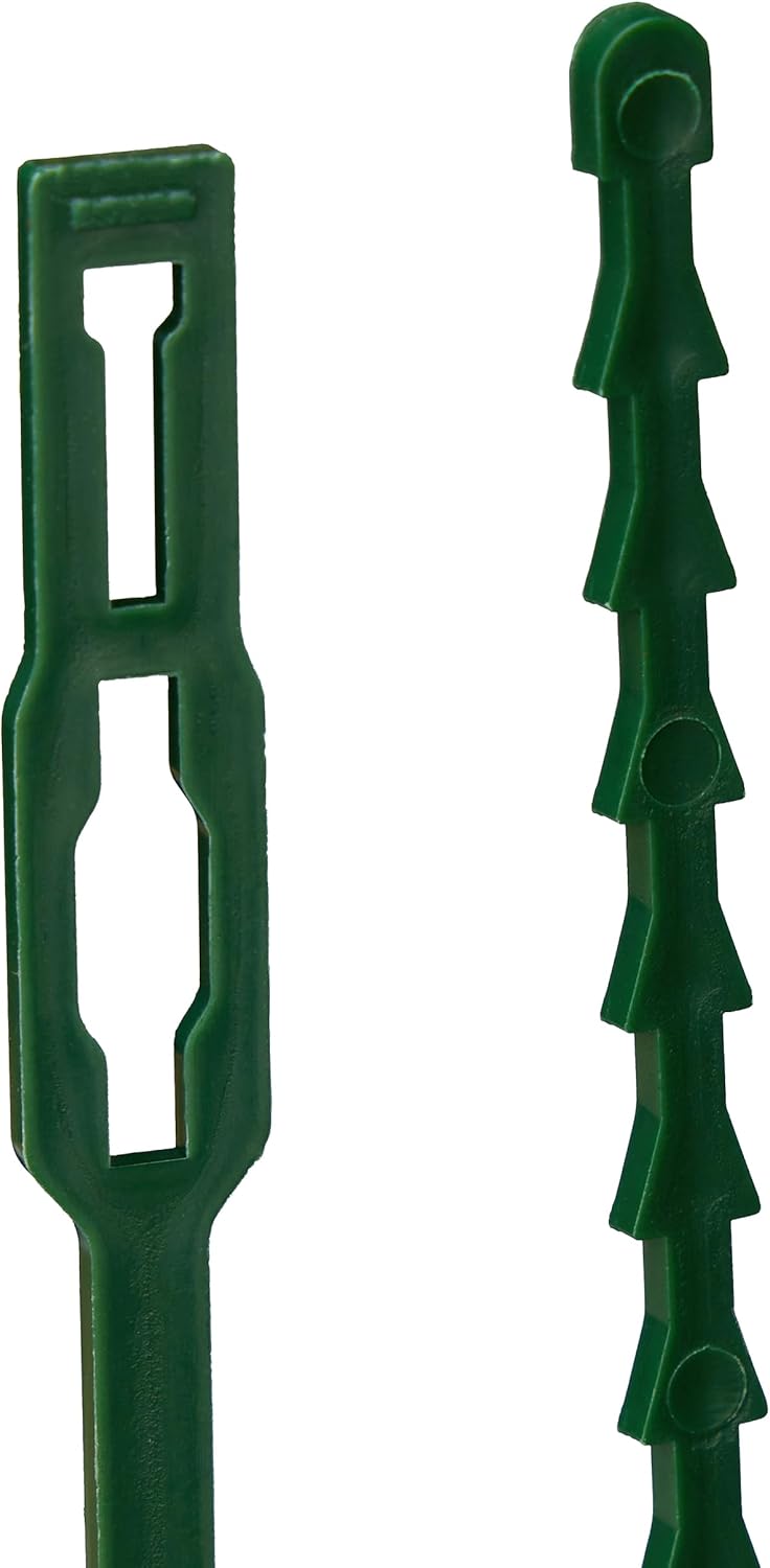 Relaxdays Plant Ties, Set of 200, 23cm, Adjustable Holders, Reusable, Fixing Flowers, for Gardening & Home, Green, 23 x 0.9 x 0.2 cm