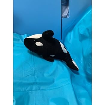 名古屋港水族館 館内ポスター シャチのクーちゃん B1サイズ 非売品 名古屋港水族館 館内ポスター シャチのクーちゃん B1サイズ