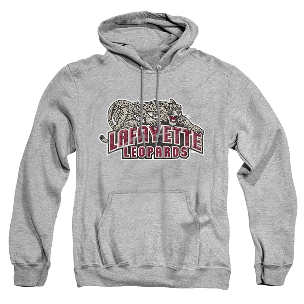 LOGOVISION Official Collegiate Distressed Primary Logo Adult Pullover Hoodie Collection — view 372