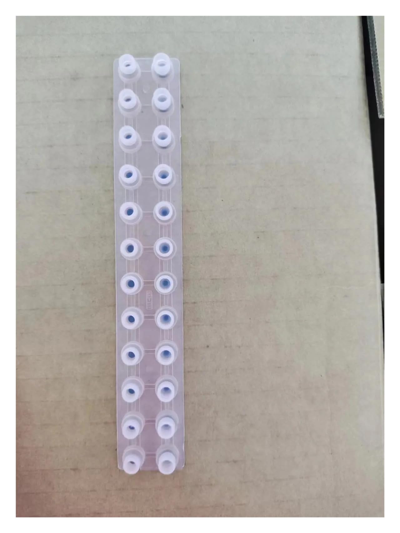 Striscia di gomma conduttiva, compatibile for CASIO | WK3000 WK3100 WK3300 WK3500 WK3800