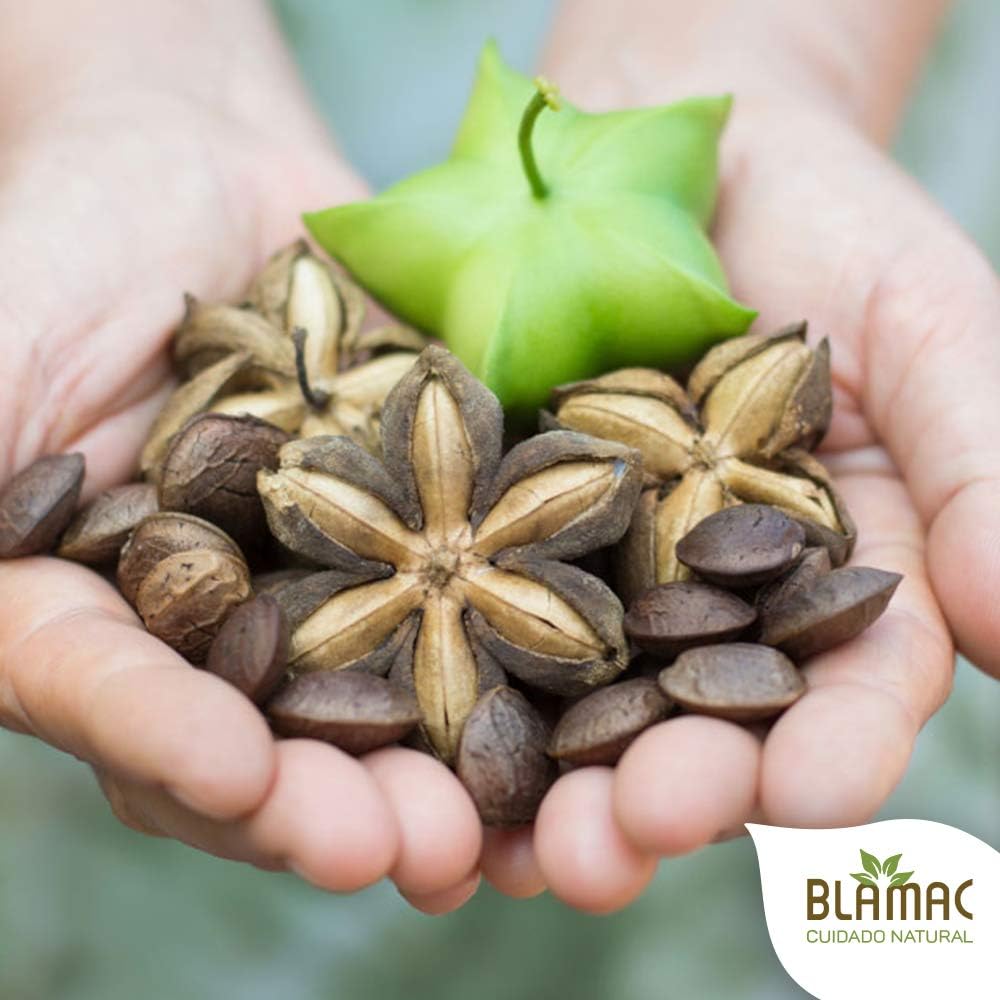 Natural Source of Omega 3,6,9 Softgel caps from Sacha Inchi (60 Capsules - 1000mg) - Much Healthier than Fish Oil and Algae | Source of Ala that elongates DHA EPA | Essential Fatty Acids | Odorless : Health & Household