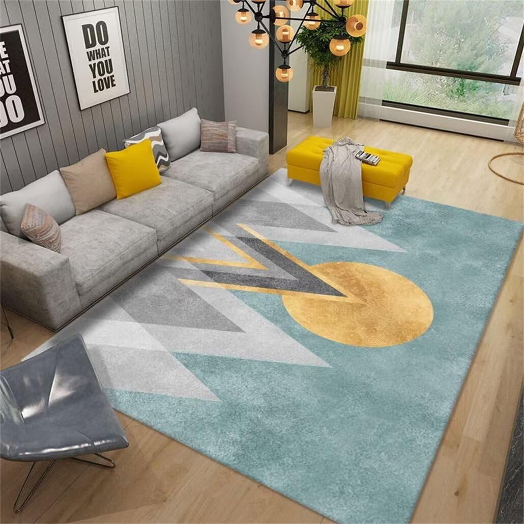 Tapis pas cher lavable grand format pour protéger le salon