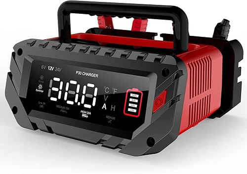 30 Amp Lithium Battery Charger,6V10A/12V30A/24V16A Lifepo4,Lead-Acid(AGM/Gel/SLA..) Smart Car Battery Charger,Battery