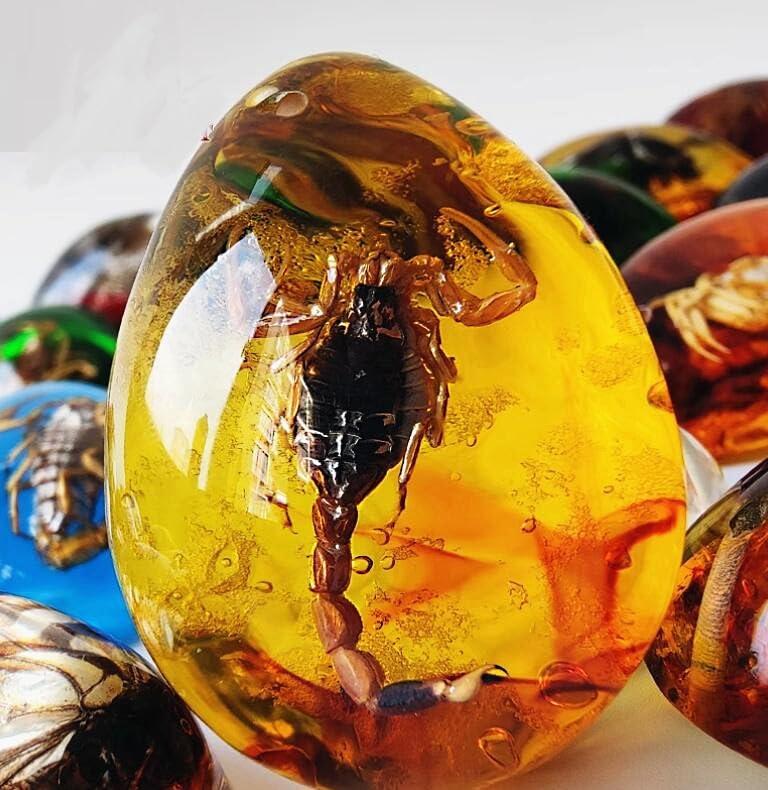 Image of EatingBiting Resin Amber Insect Pendant Scorpion Fossil Stone Crystal Home Decoration Samples Stones Specimens Home Decorations Collection Oval