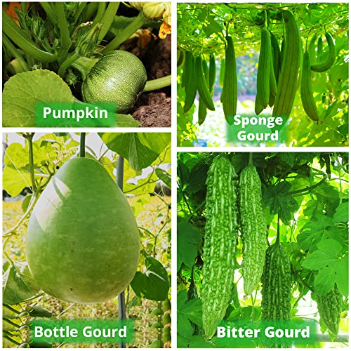 Image of ORGANIC BAZAR 24x24 Very Big Size Tree Grow Bag for Fruit Plants, Premium Geo Fabric 450 GSM Geo Fabric Large Plant Bags | (Pack of 1)