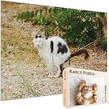Karl's Puzzle