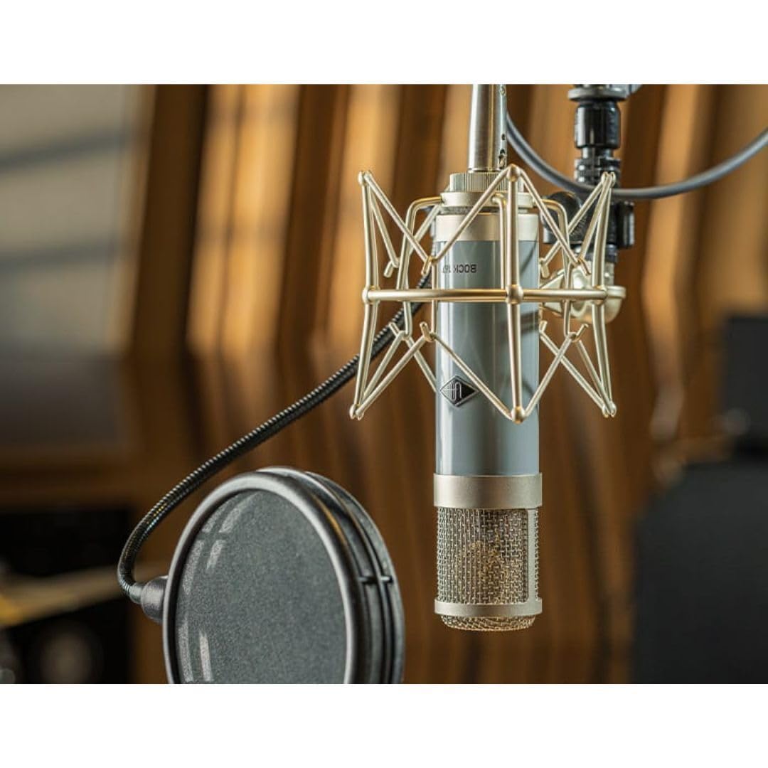 Amazon.com: Universal Audio Bock 167 Large-Diaphragm Tube