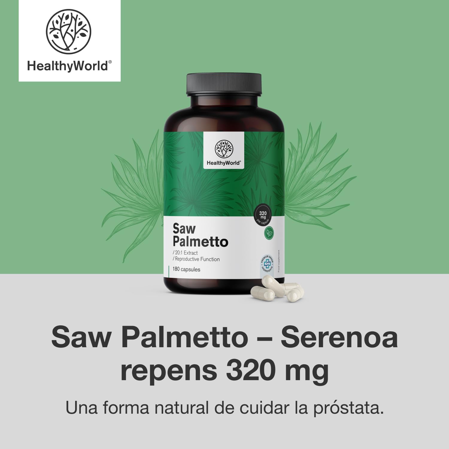 HealthyWorld Saw Palmetto – Serenoa repens con suplemento de zinc – Extracto 20:1 – 180 cápsulas vegetales – Apoyo a la próstata – Envase XXL – Para 6 meses