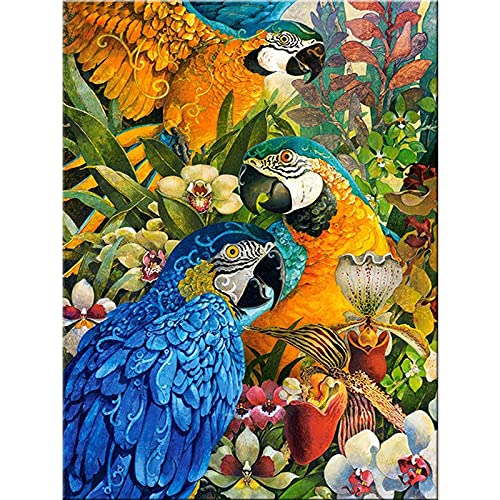 Kit Diamant Peinture Perroquet Grand Format : Idée Cadeau Idéale pour Adulte