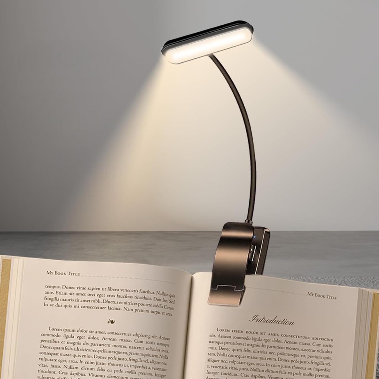 YverLand Leselampe mit Klemme – 5 LEDs, 360° flexibler Hals, USB wiederaufladbar, lange Akkulaufzeit, tragbar für Bett, Schreibtisch, Kinderzimmer & Studium (Wiederaufladbarer Akku)