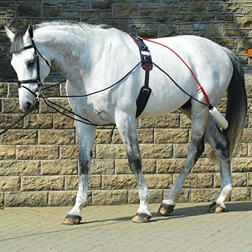 Pessoa Lunging System for sale in UK View 27 bargains