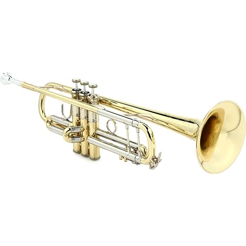 Bach 190 Stradivarius Professional Bb Trumpet - Lacquer with 43 Bell