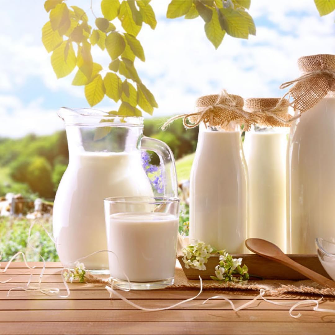 Milch haltbare fettarme H-Milch 1,5% Fett, je 1 Liter, 60 Stück mit Pufai Grocery