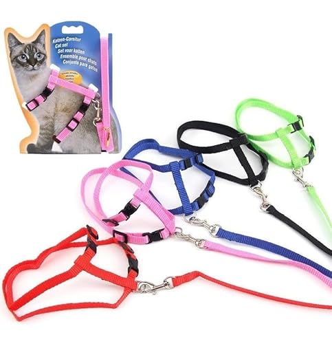 Coleira Peitoral Gato Pet Guia Com Regulagem Confortável (Único, Roxo)