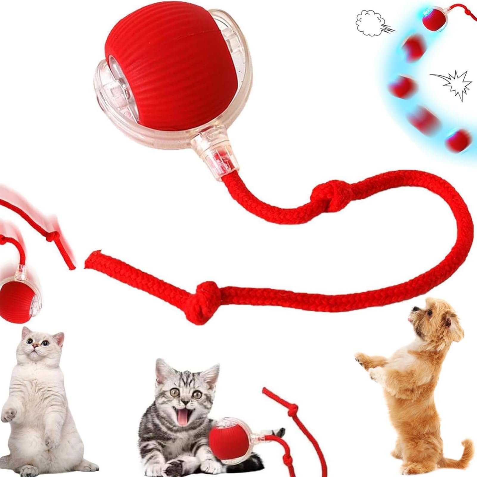 Amazon.co.jp: 猫用ボールおもちゃ 自動 猫玩具 電動 ボール 1個