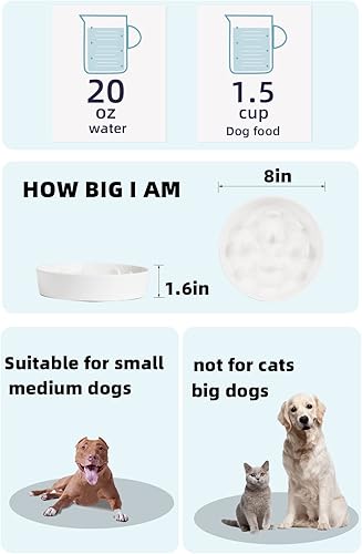 Vista 4 de HAOTOP Ceramic Fun - Tazón de alimentación lenta, cuenco de porcelana para perros de tamaño mediano (blanco)