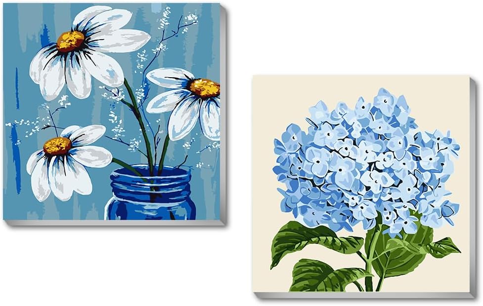 Mowana 2 Framed DIY Paint by Numbers for Adults Beginner