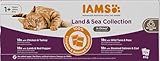 IAMS Delights Land & Sea Collection Katzenfutter Nass - Multipack mit Fleisch und Fisch Sorten in Sauce, Nassfutter für Katzen ab 1 Jahr, 72 x 85 g