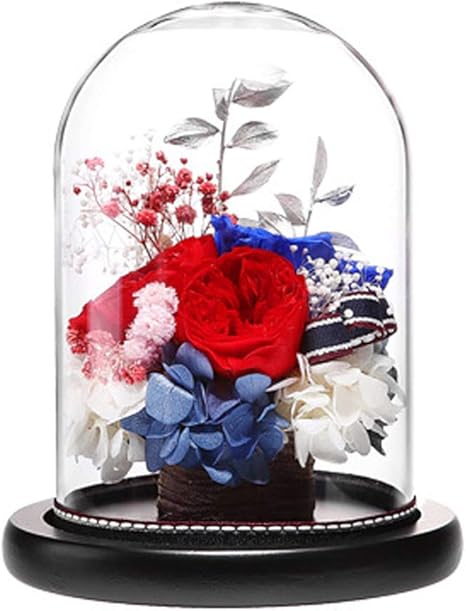 Amazon Hsbais レッド 本物のバラで永遠の花 保存花プリザーブドフラワー 枯れない花 生花 フラワーアレンジドライフラワー ガラスポット 木製ベース 最高の贈り物 飾り 母の日 誕生日 プレゼント Red プリザーブドフラワー オンライン通販 Amazon Hsbais レッド 本物のバラで永遠の花 保存花プリザーブドフラワー 枯れない花 生花 フラワーアレンジドライフラワー ガラスポット 木製ベース 最高の贈り物 飾り 母の日 誕生日 プレゼント Red プリザーブドフラワー オンライン通販