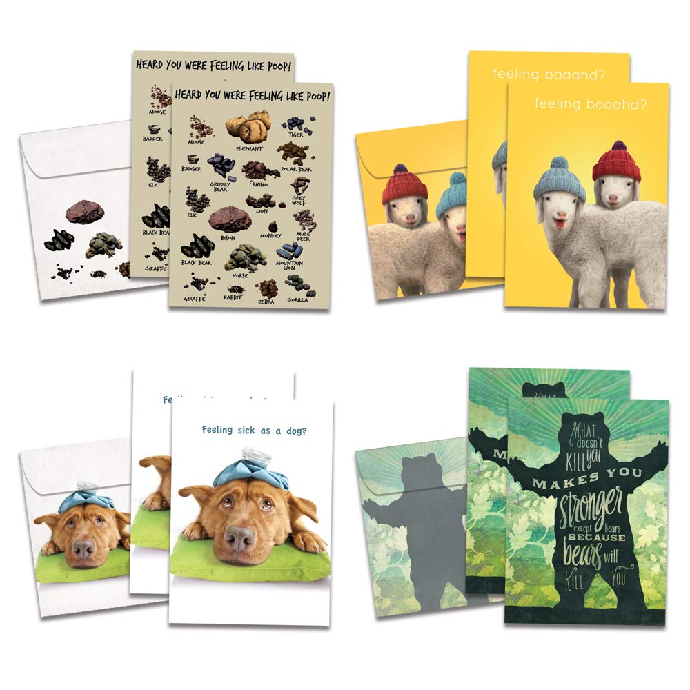 Amazon.co.jp: Tree-Free Greetings 楽しい気持ち すぐにお手頃 カード